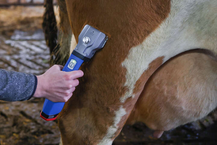 AESCULAP Akkuschermaschine Bonum Rind inkl. 1 Akku